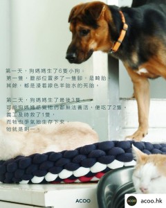 WhatsApp Image 2024-11-23 at 14.45.31 (5)