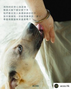 WhatsApp Image 2024-11-23 at 14.45.32 (3)