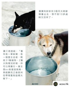WhatsApp Image 2024-11-23 at 14.46.53 (3)
