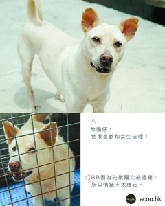 WhatsApp Image 2024-11-23 at 14.46.54